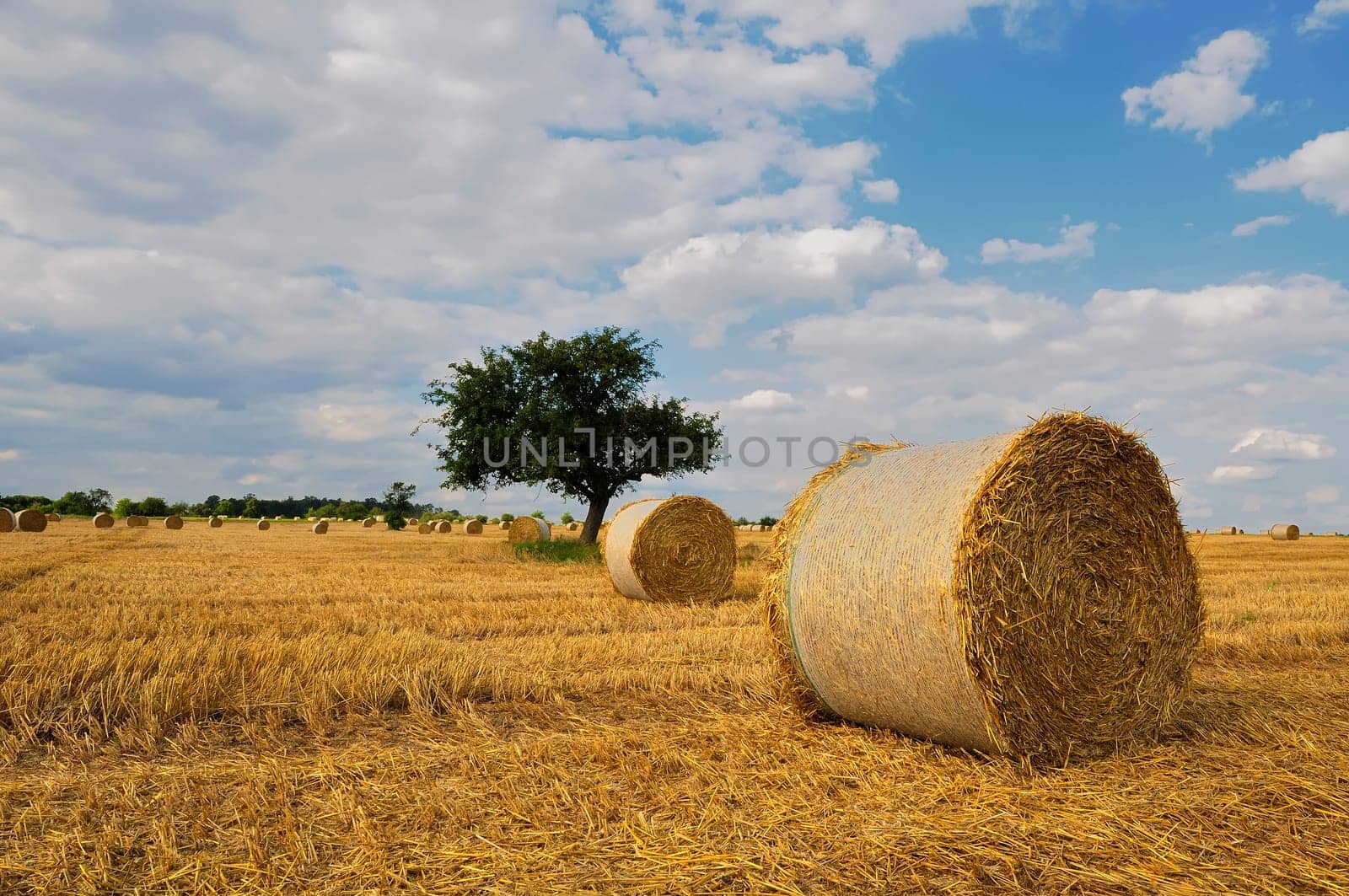 Straw bales