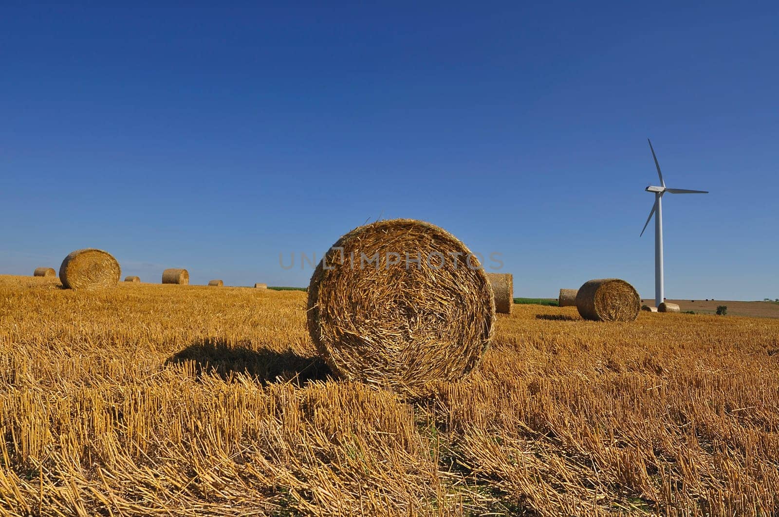 Straw bales