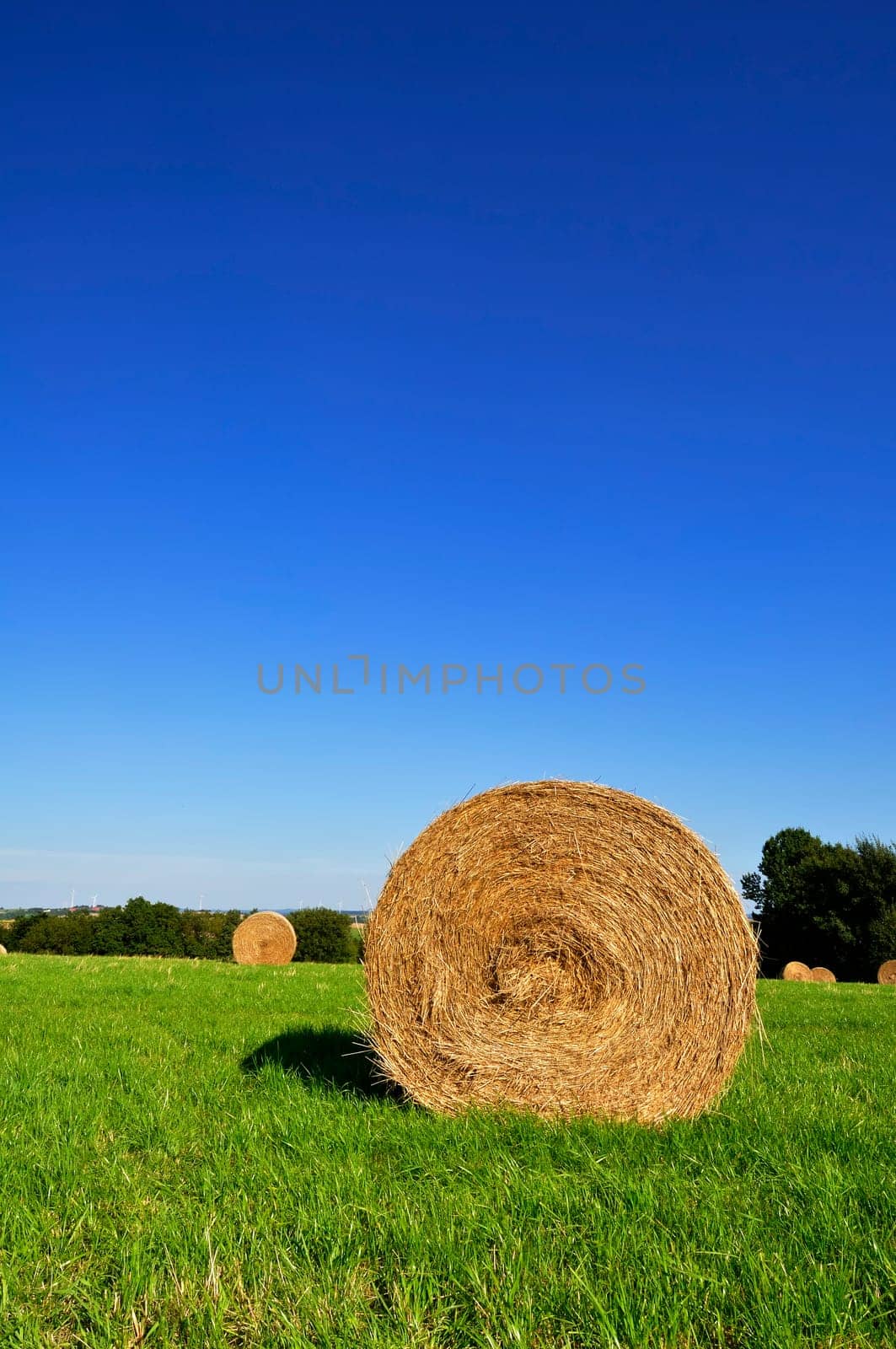 Bale of hay