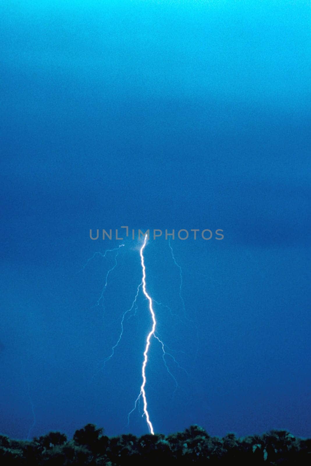 View of a bolt of lightning striking the ground during a storm, with trees visible in the foreground. Vertical shot.