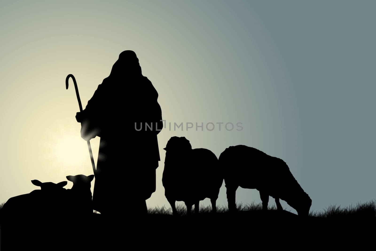Shepherd with sheep