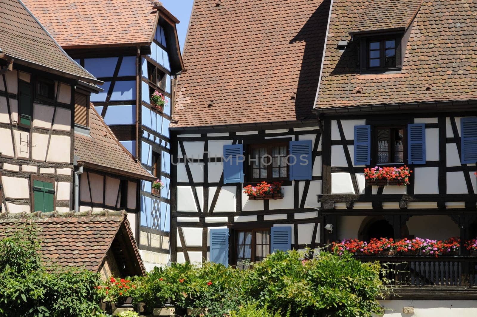 Half-timbered houses in Eguisheim
