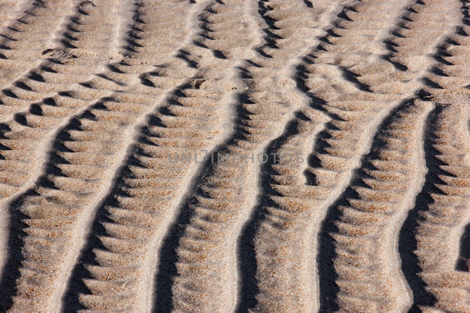 Ripples in the sand