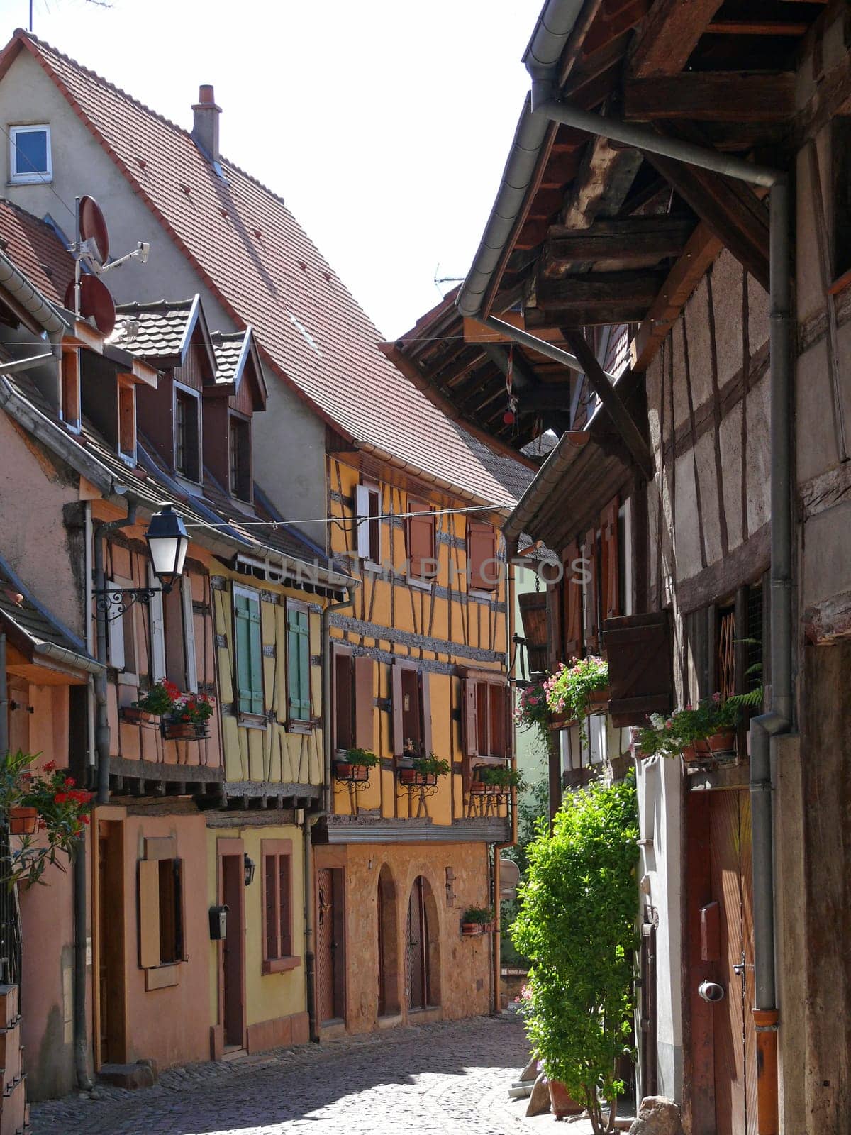 Eguisheim,Alsace