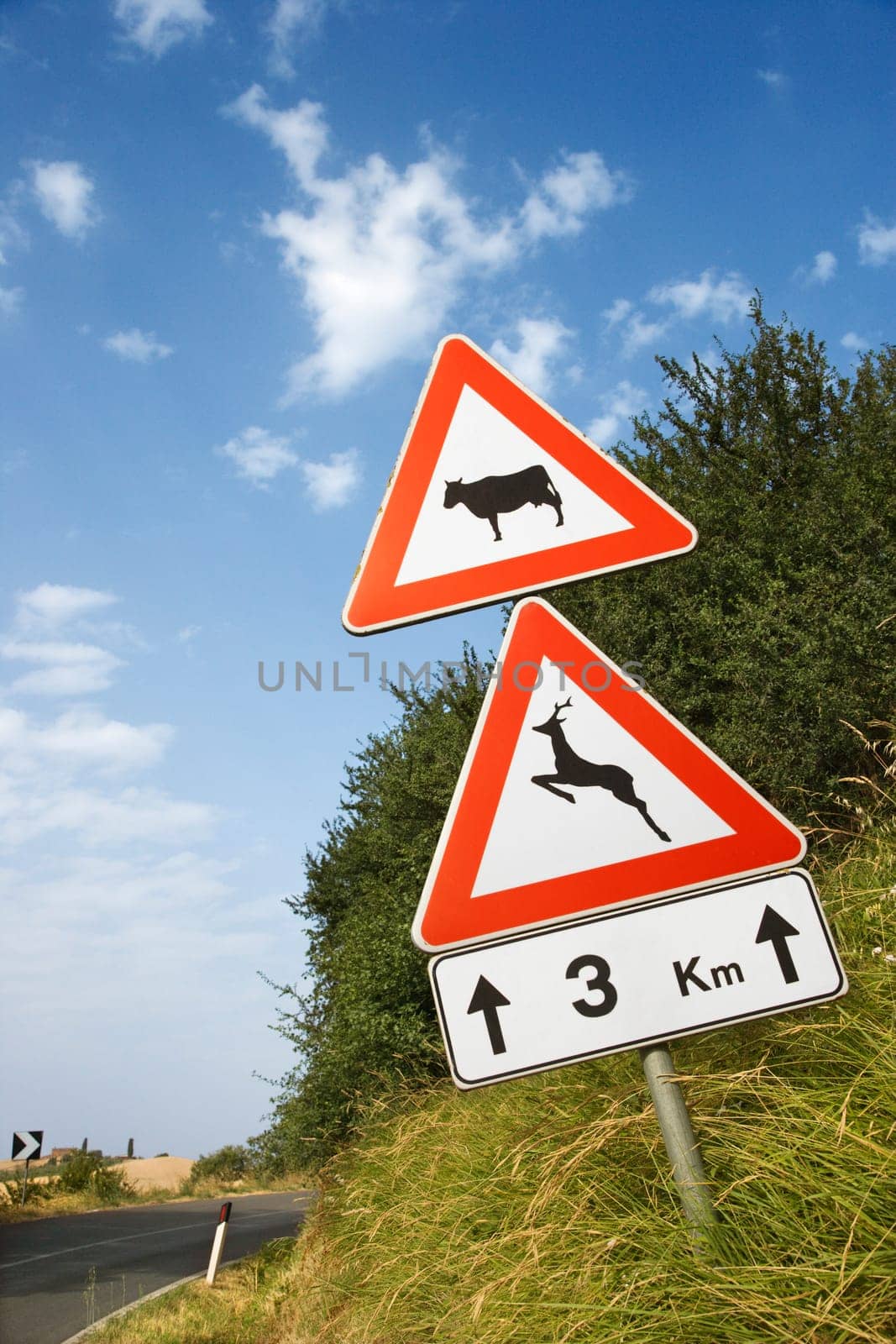 Low angle view of two road signs warning of animal crossing. Plants and a rural road are visible in the background. Vertical shot.