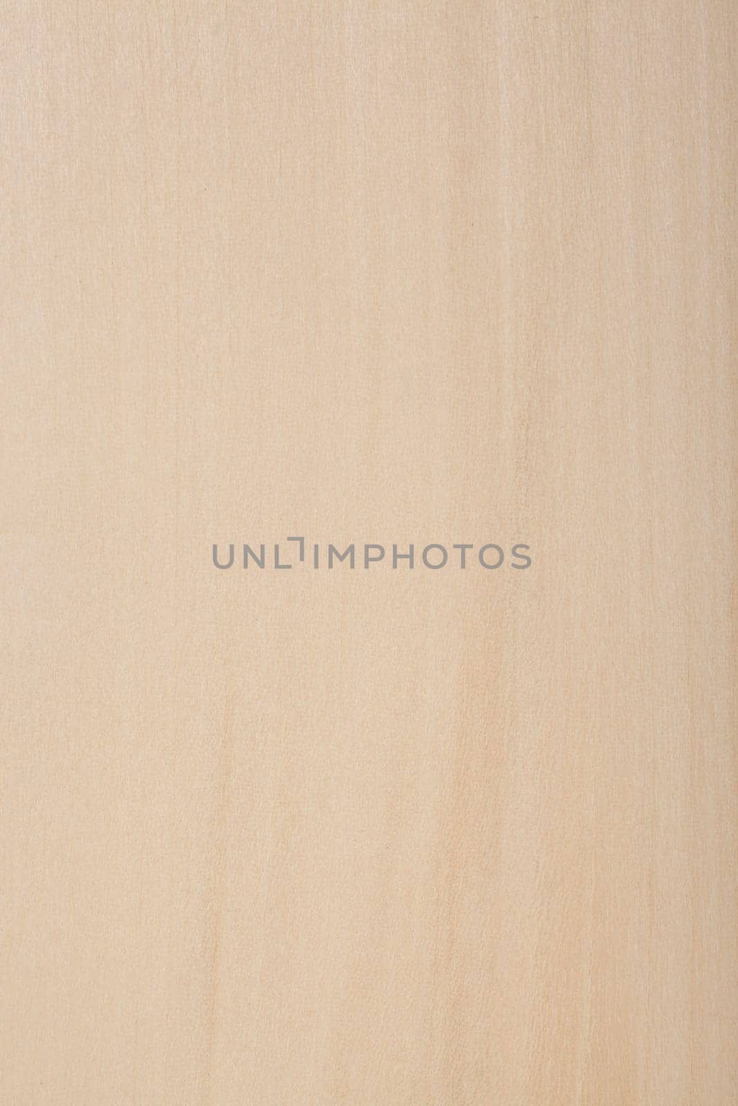 Wood surface Linde - lime tree,basswood