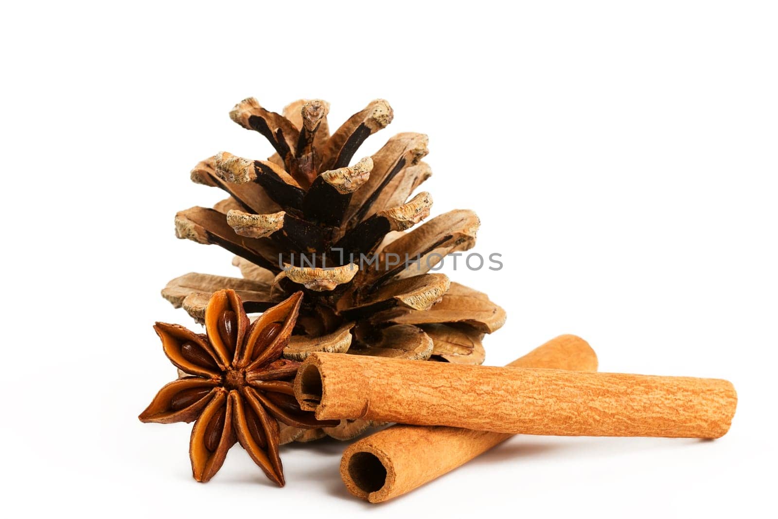 Two cinnamon sticks with star anise and pine cones