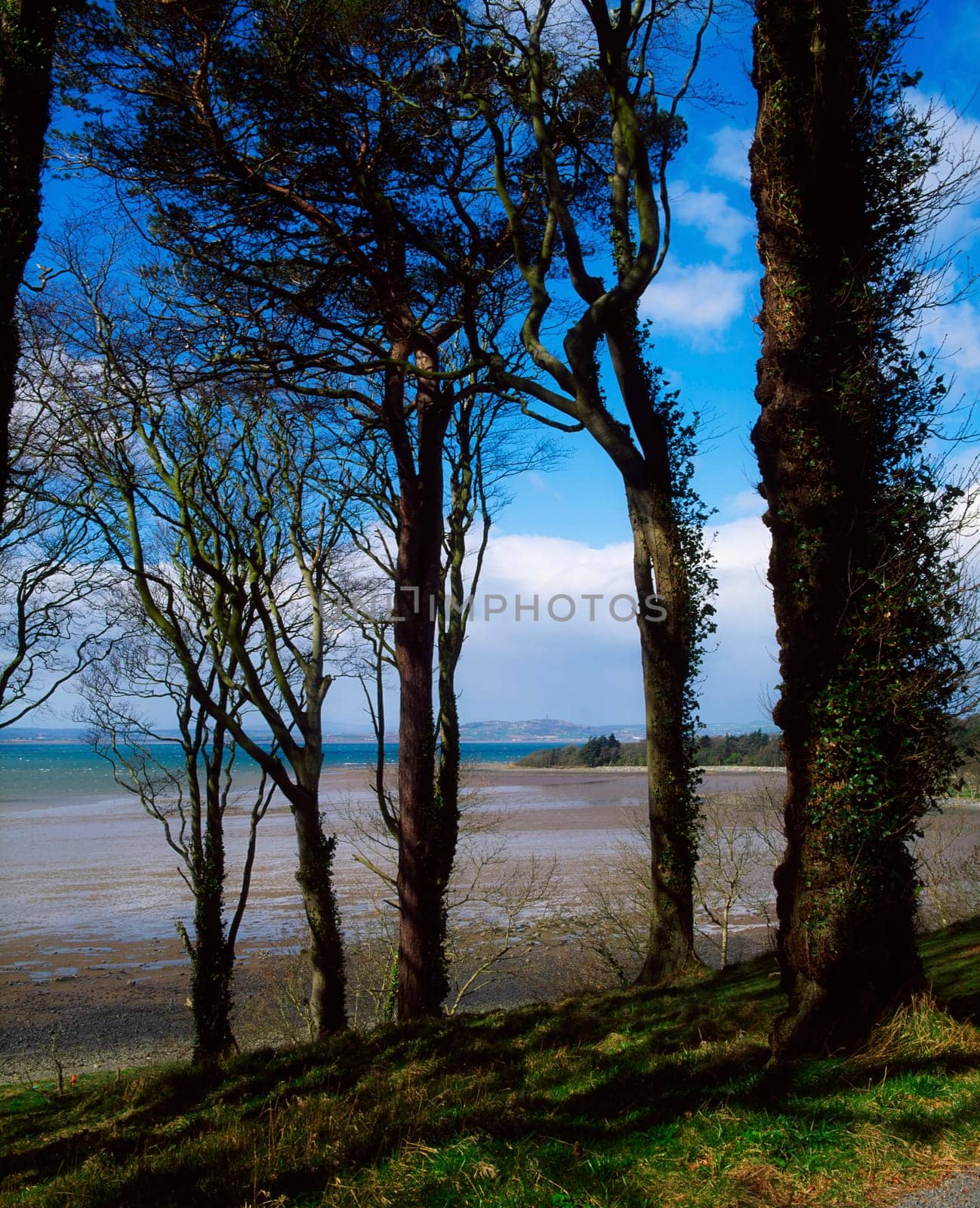 Strangford Lough, Mount Stewart, Co Down, Ireland