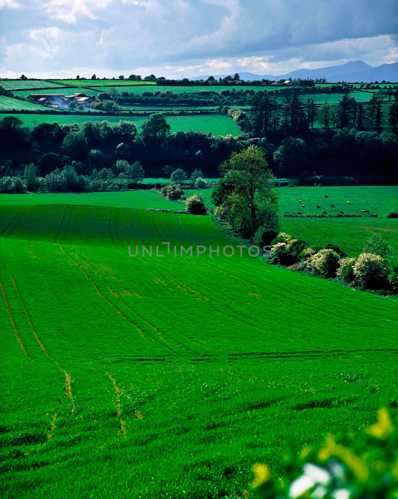 Farmscape, Ireland