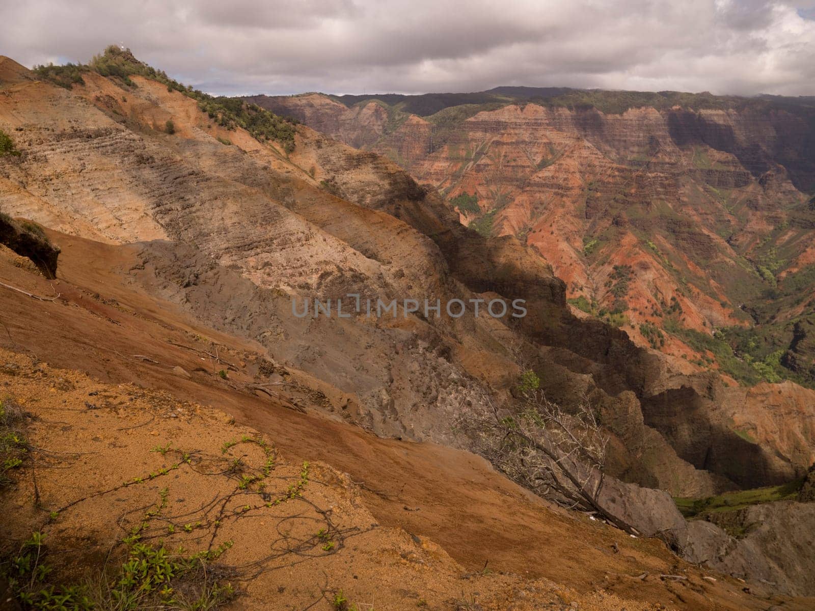 Waimea Canyon State Park, Kauai, Hawaii, USA