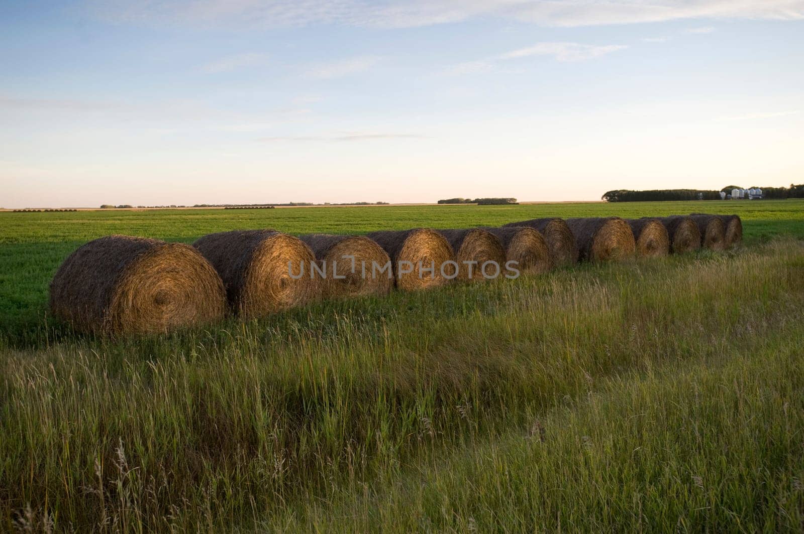 Hay bales, Manitoba, Canada