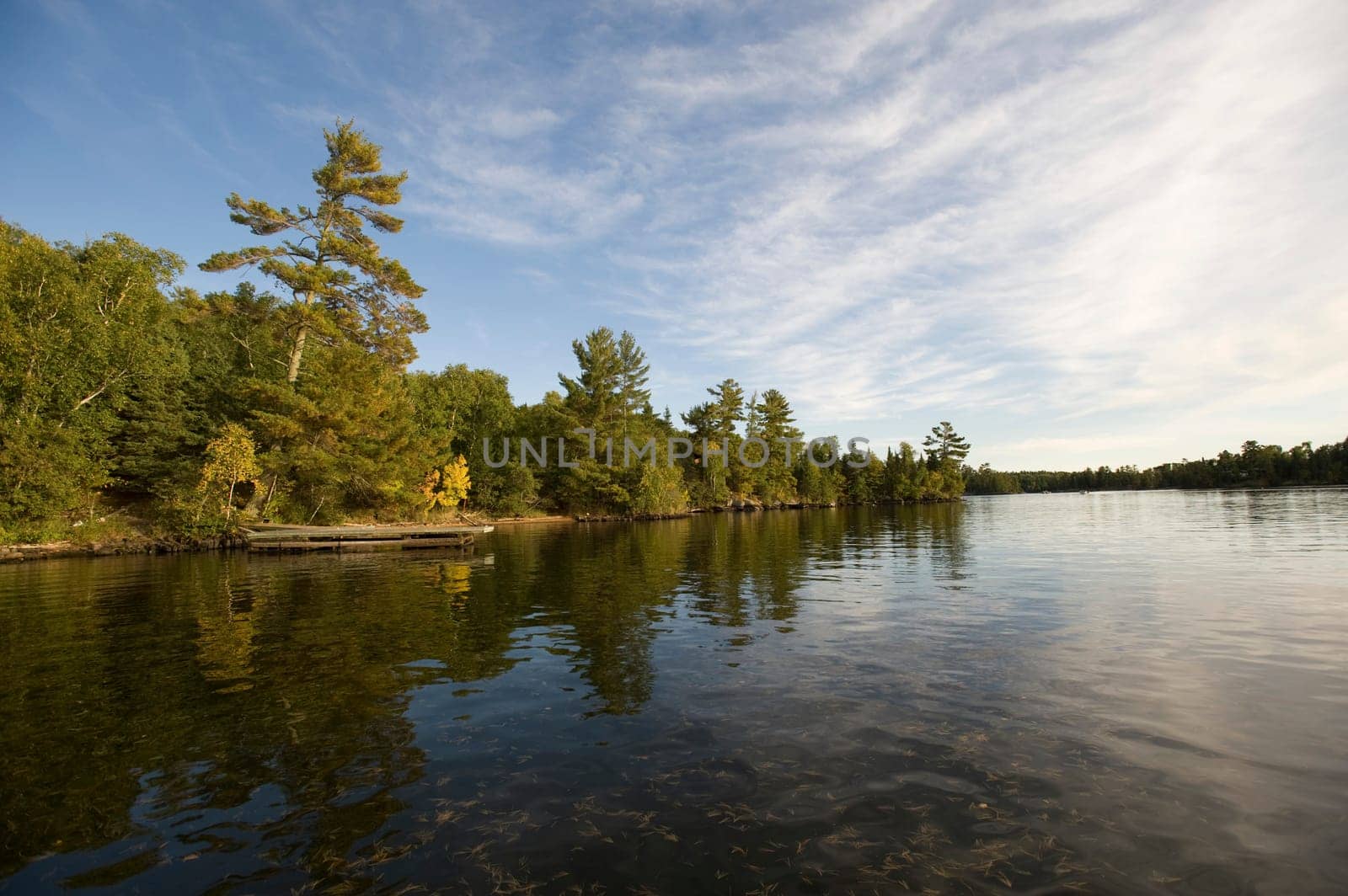 Lake shoreline, Lake of the Woods, Ontario, Canada