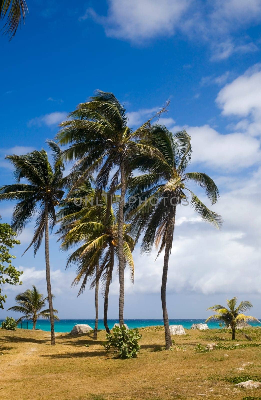 Varadero Beach, Varadero, Cuba