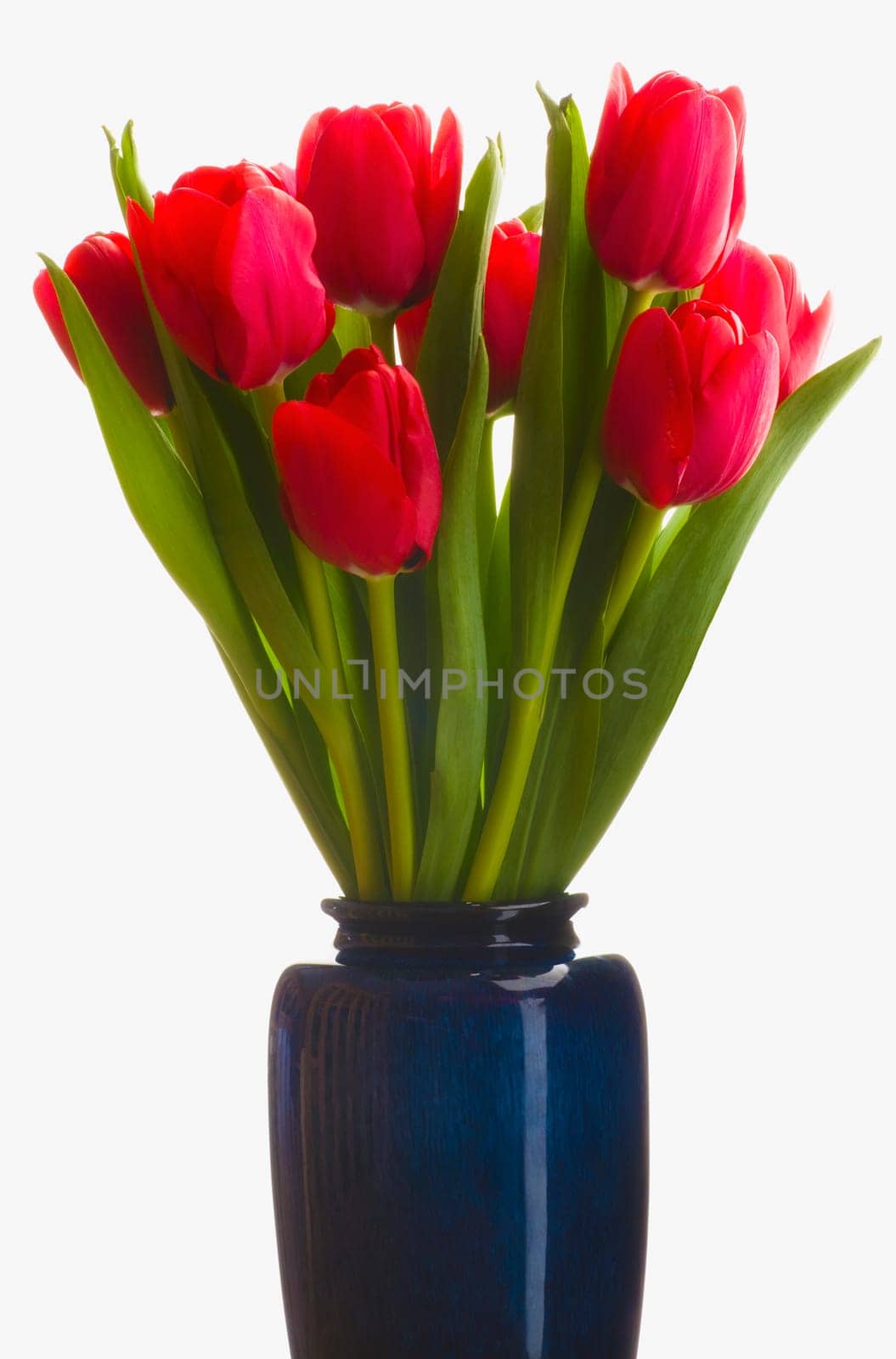 Tulips in a vase