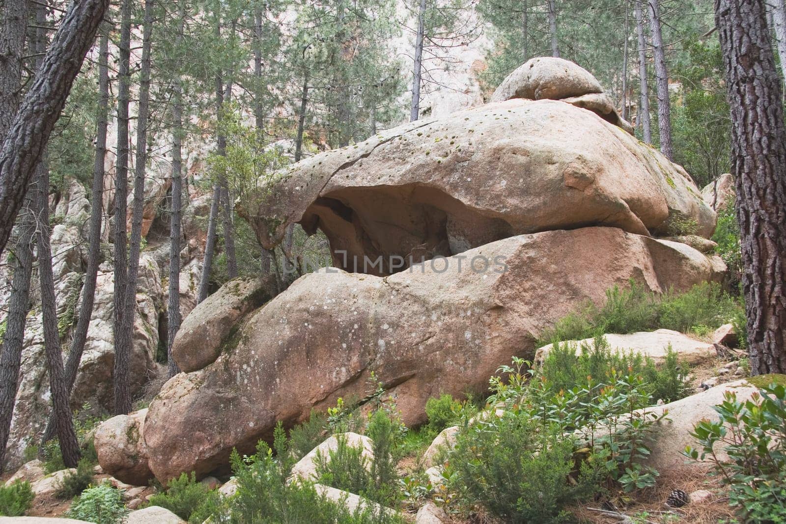 corsica, france  rock formation in the forest