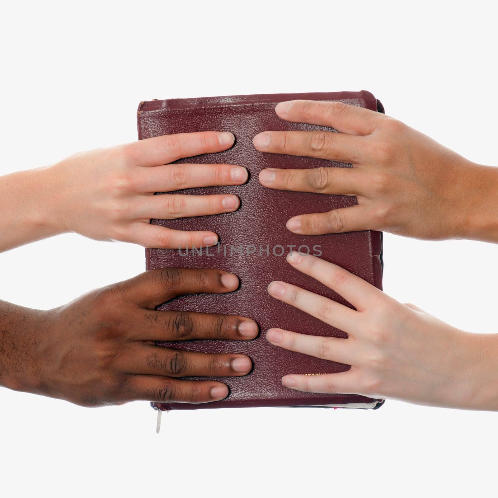 Interracial hands holding up a bible