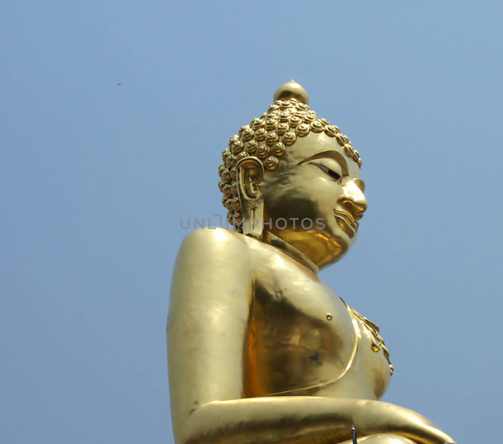 Golden Buddha