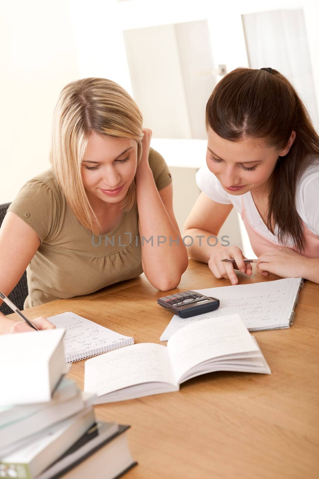 Student series - Two friends studying together