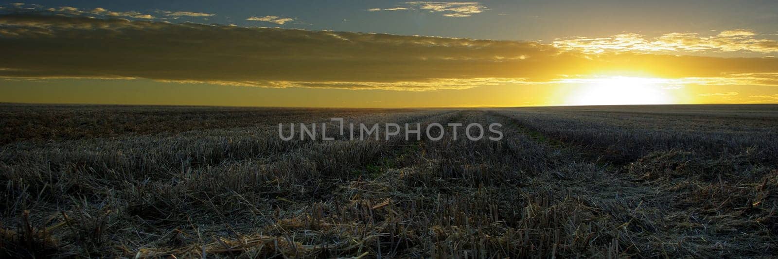 ENDLESS EXPANSE