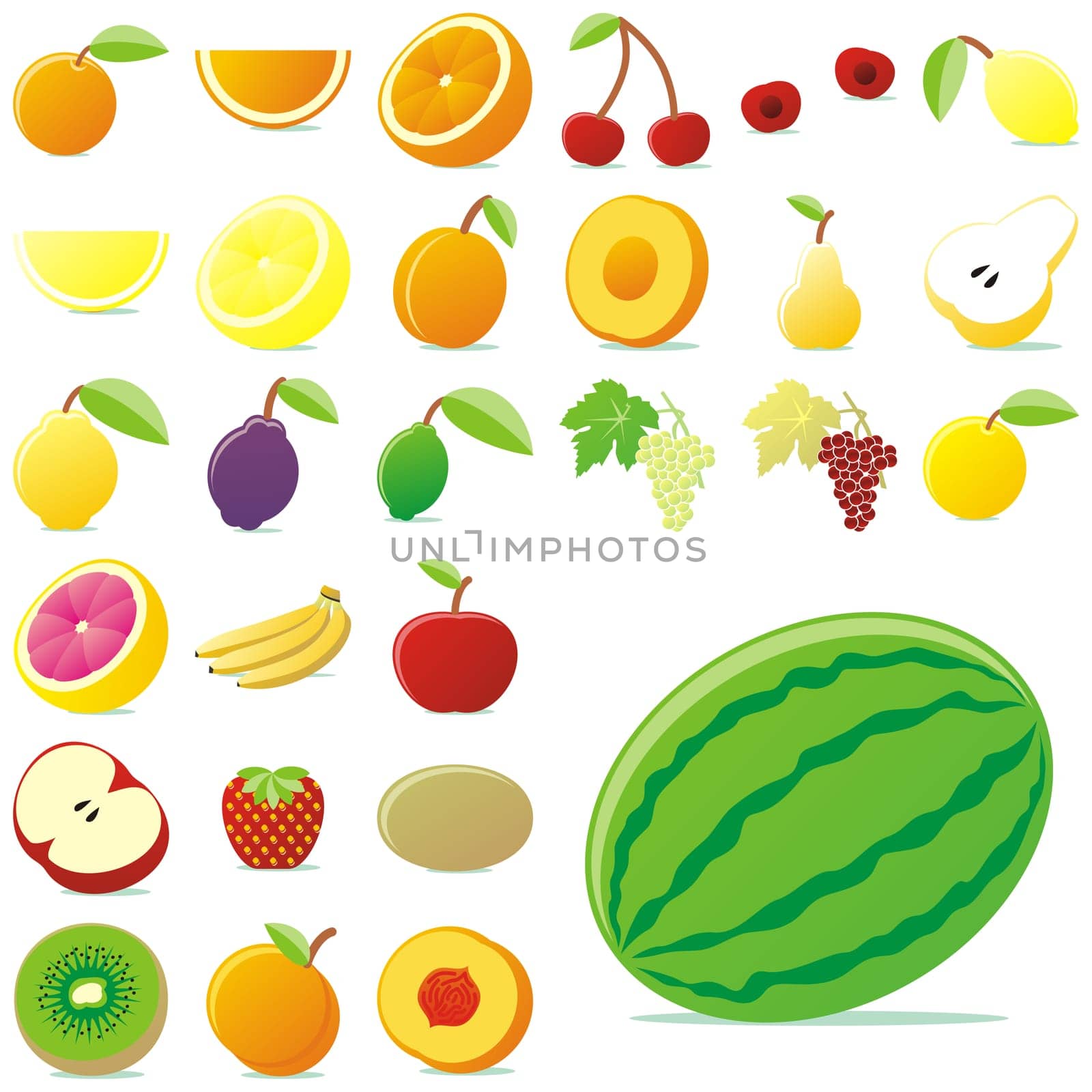 vector isolated fruits