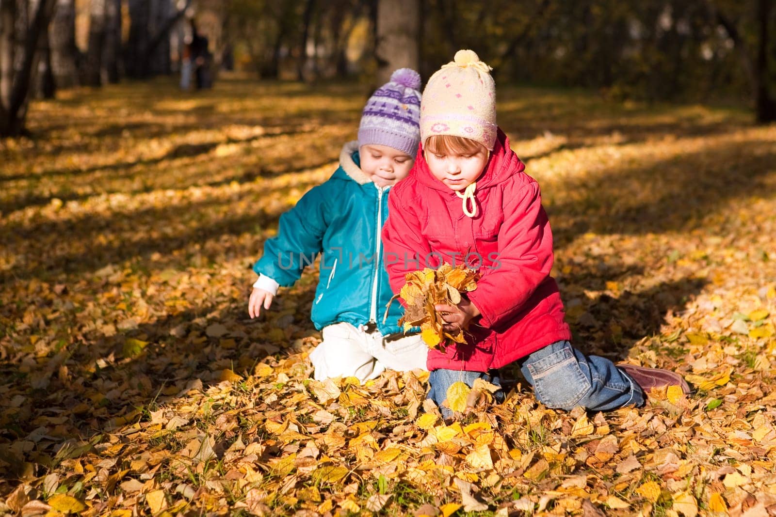 Children throw autumn leaves 4