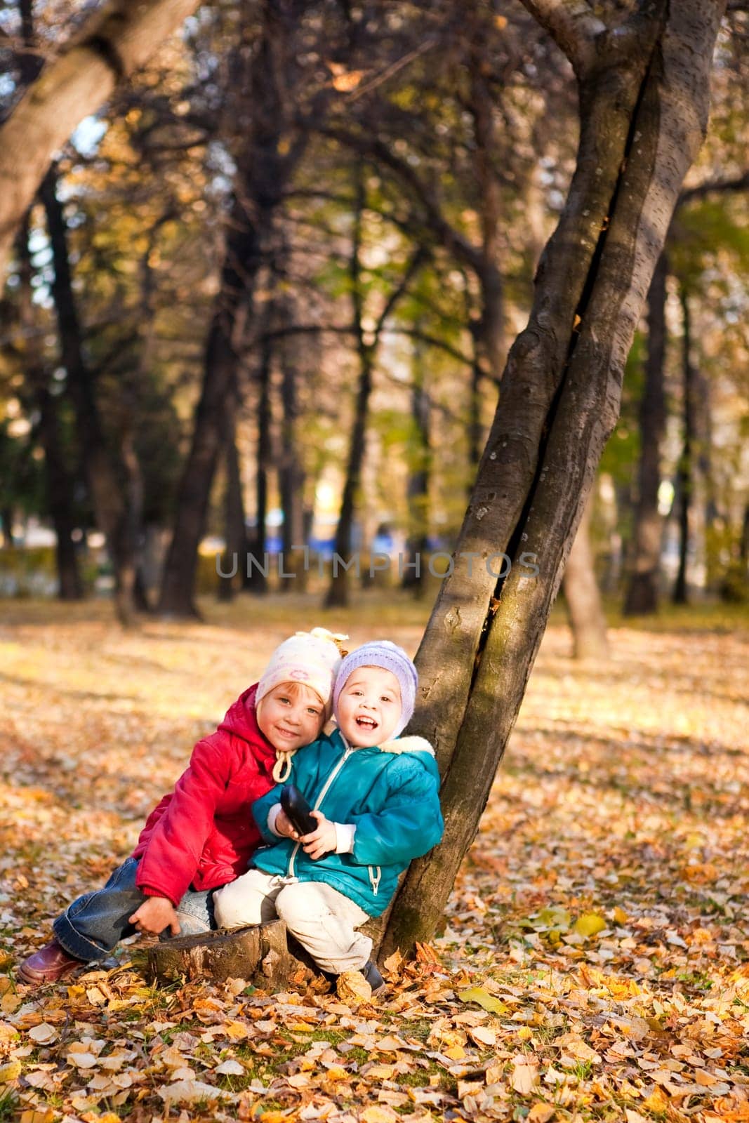 Children throw autumn leaves 4