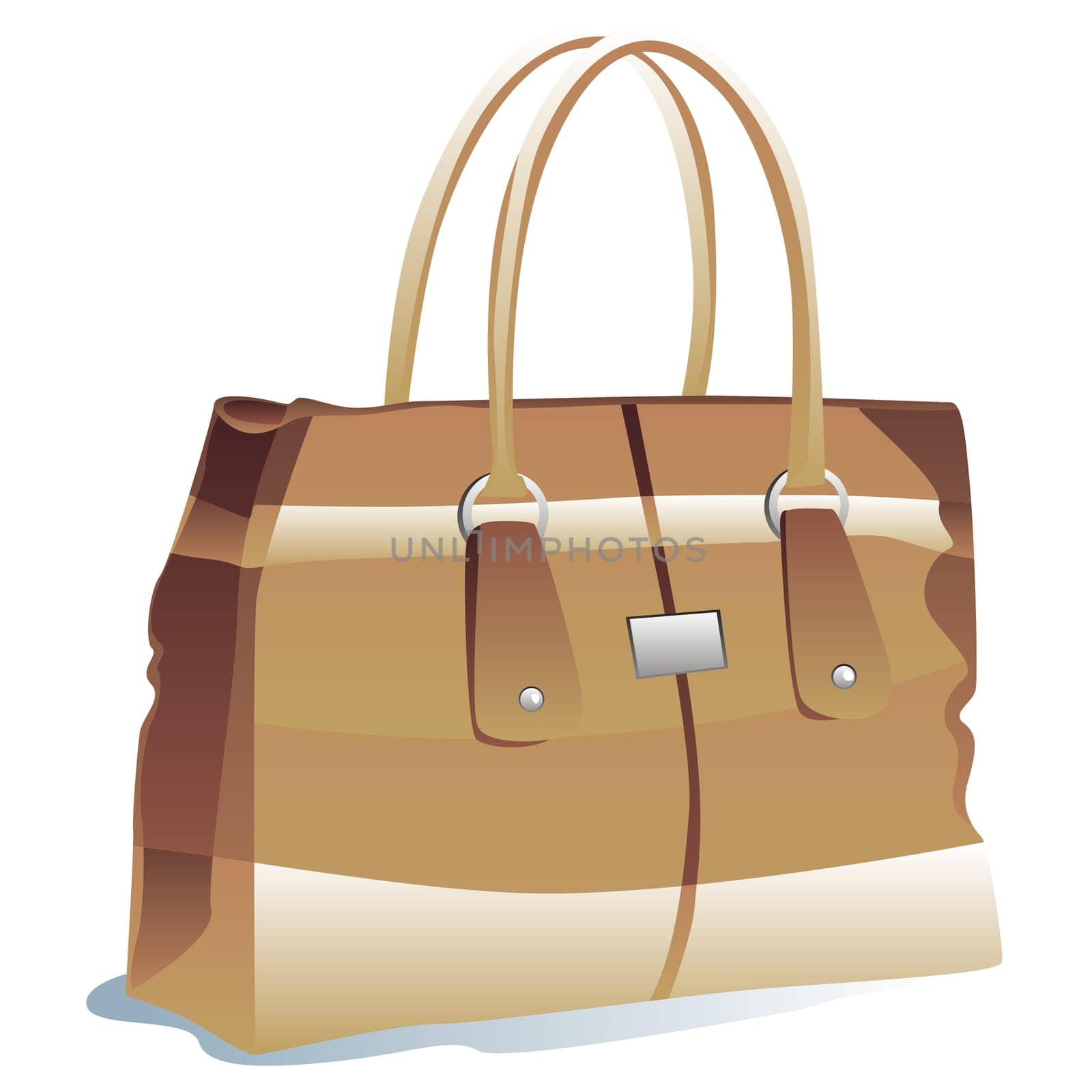 isolated handbag