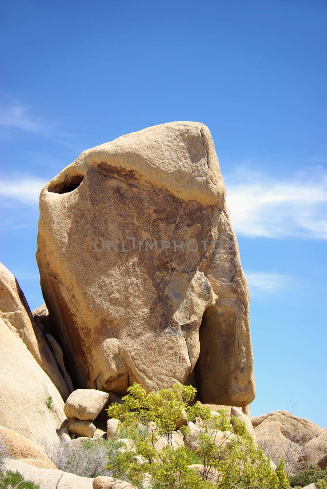Joshua Tree National Park,California