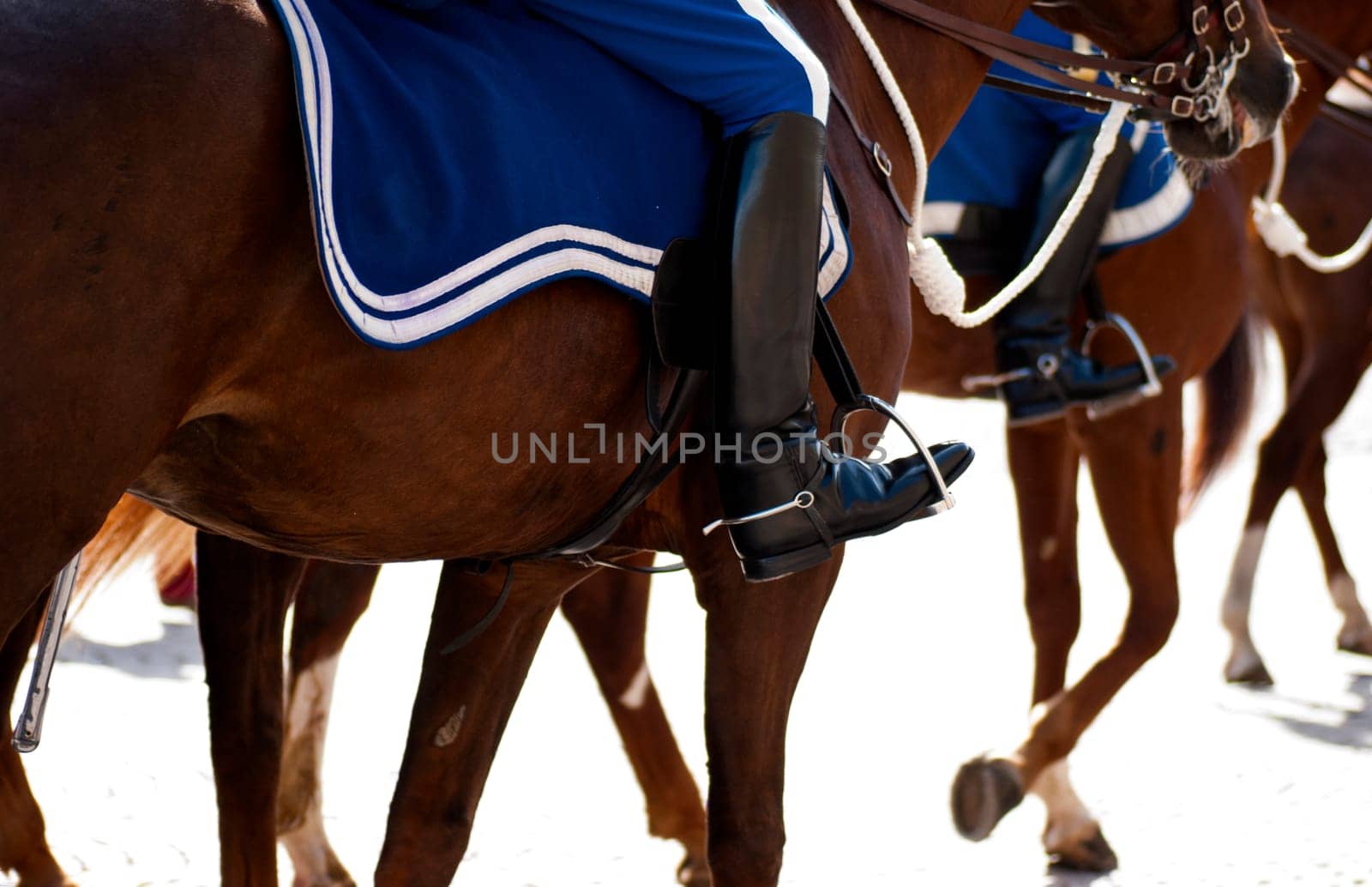 riding horses