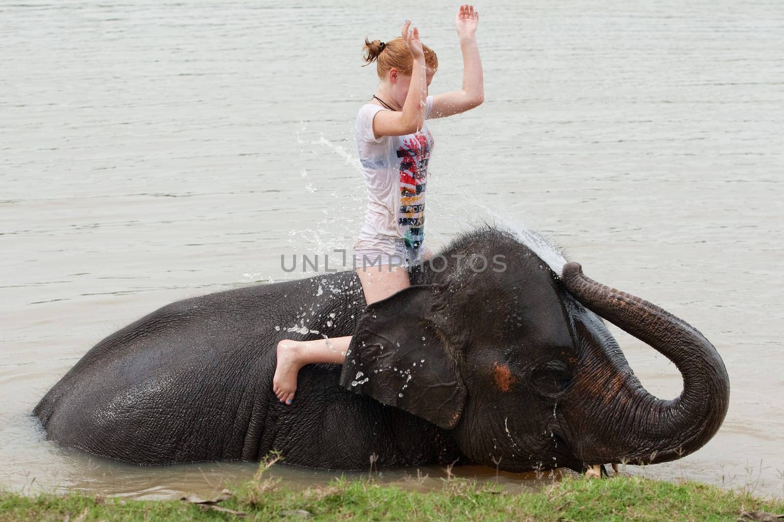 Elephant Riding