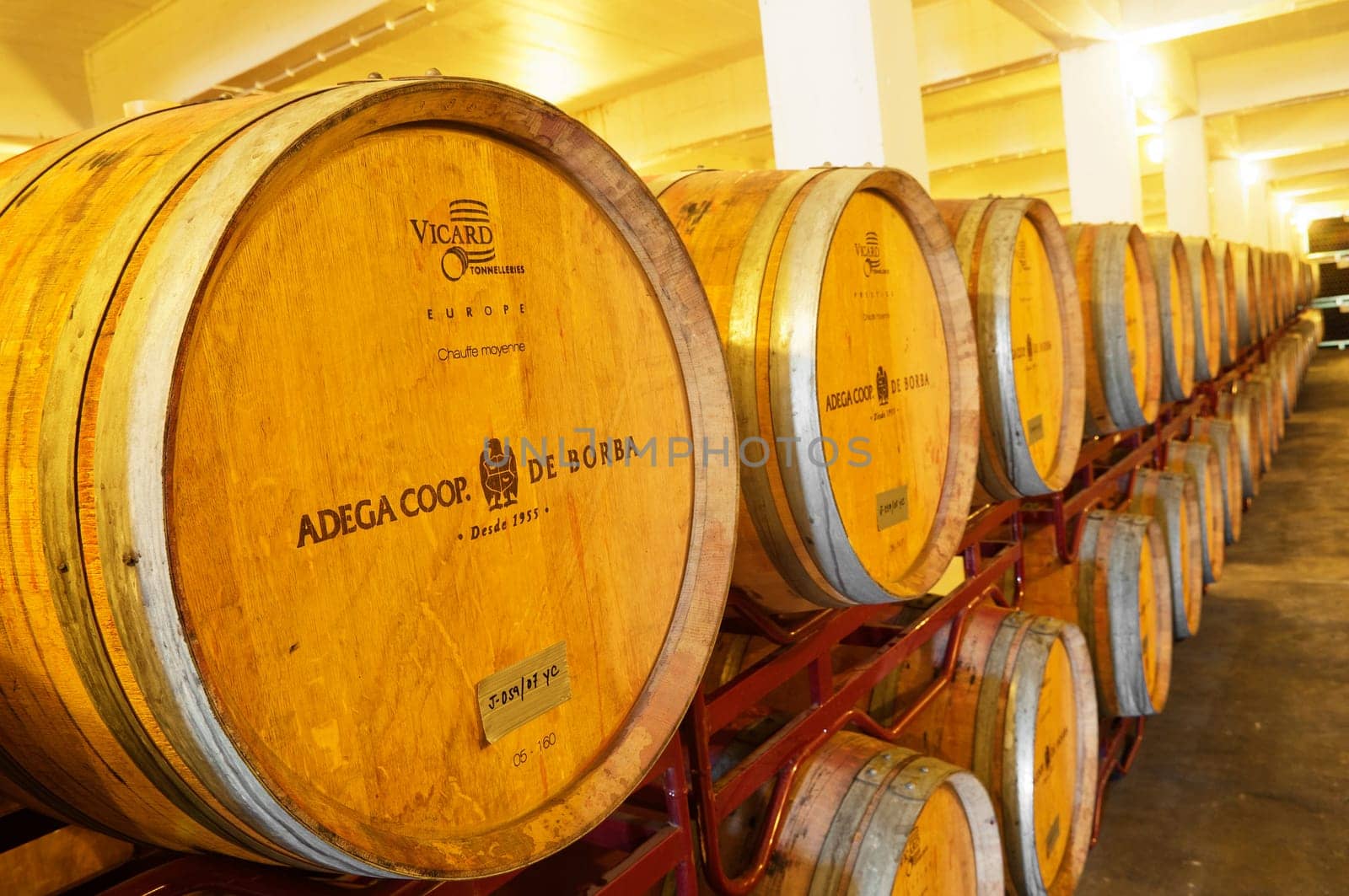 Wine cellar