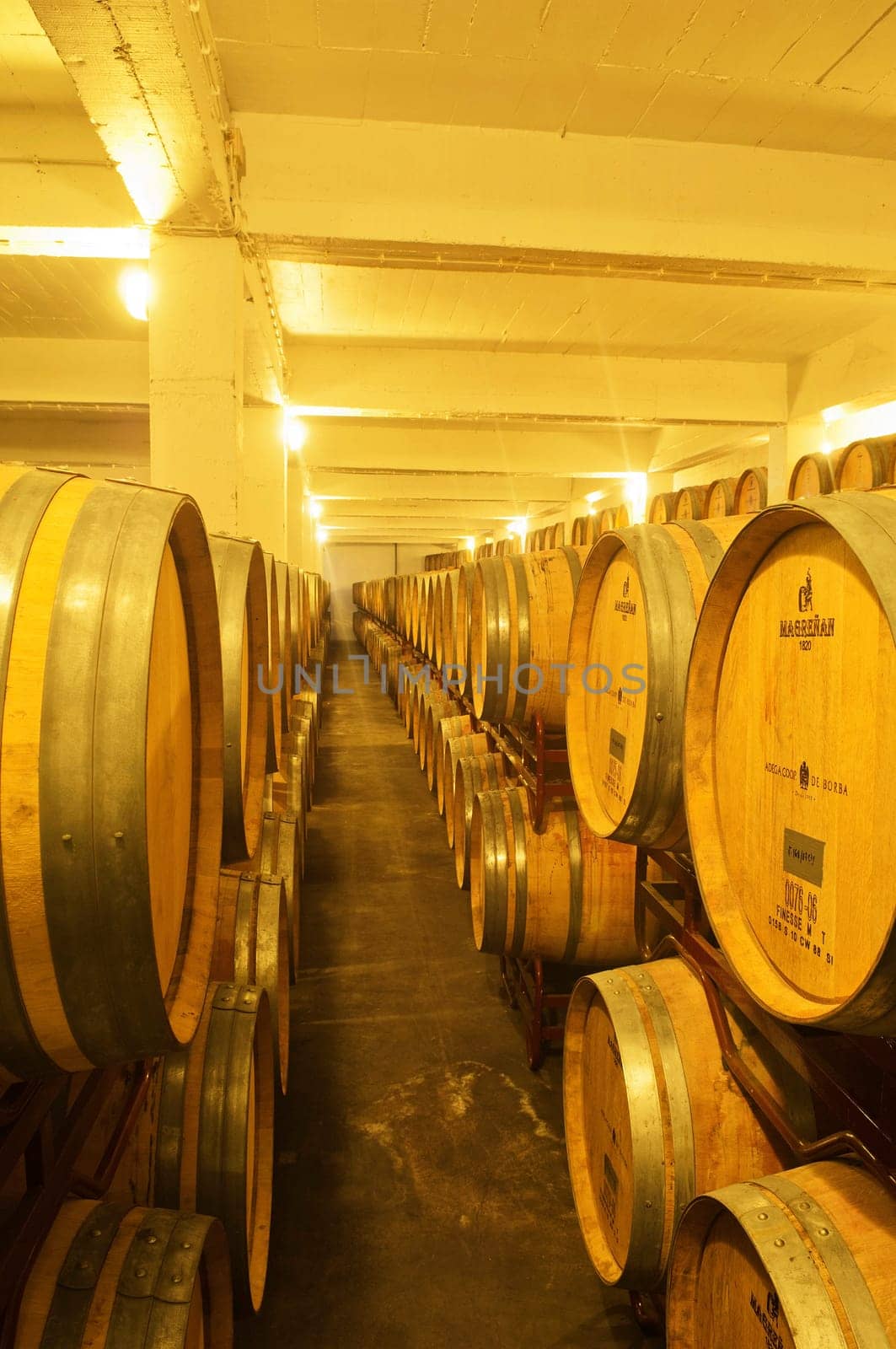 Wine cellar