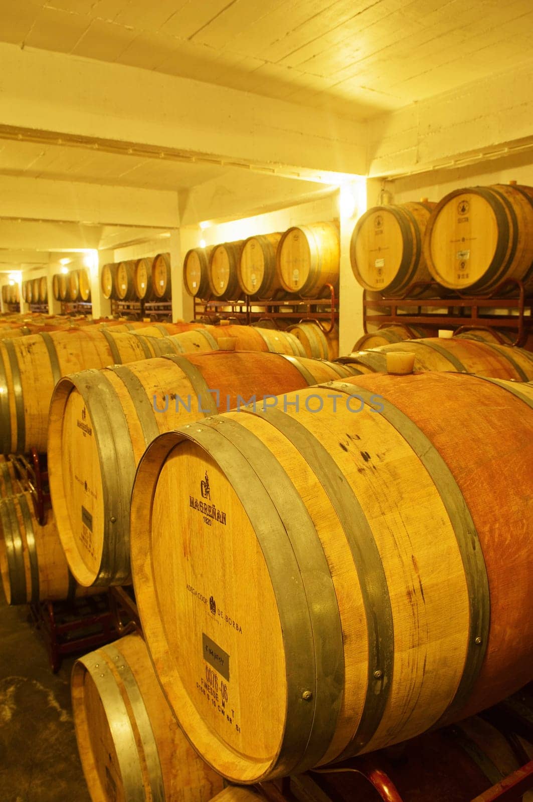 Wine cellar