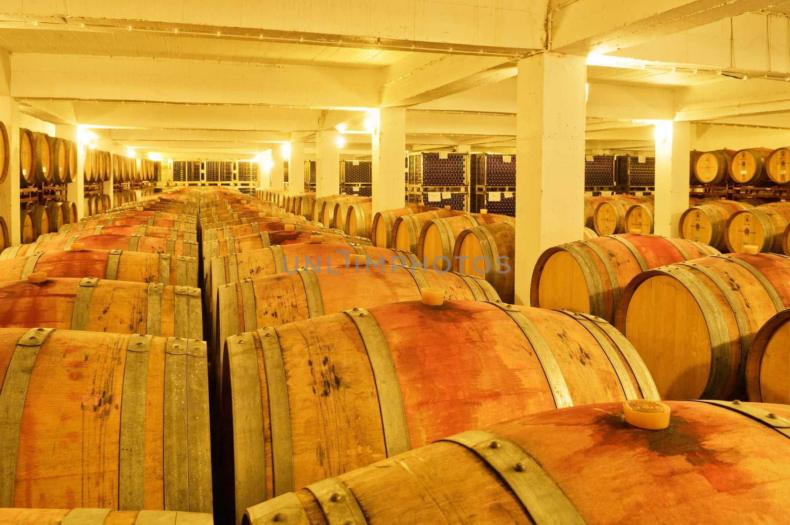 Wine cellar
