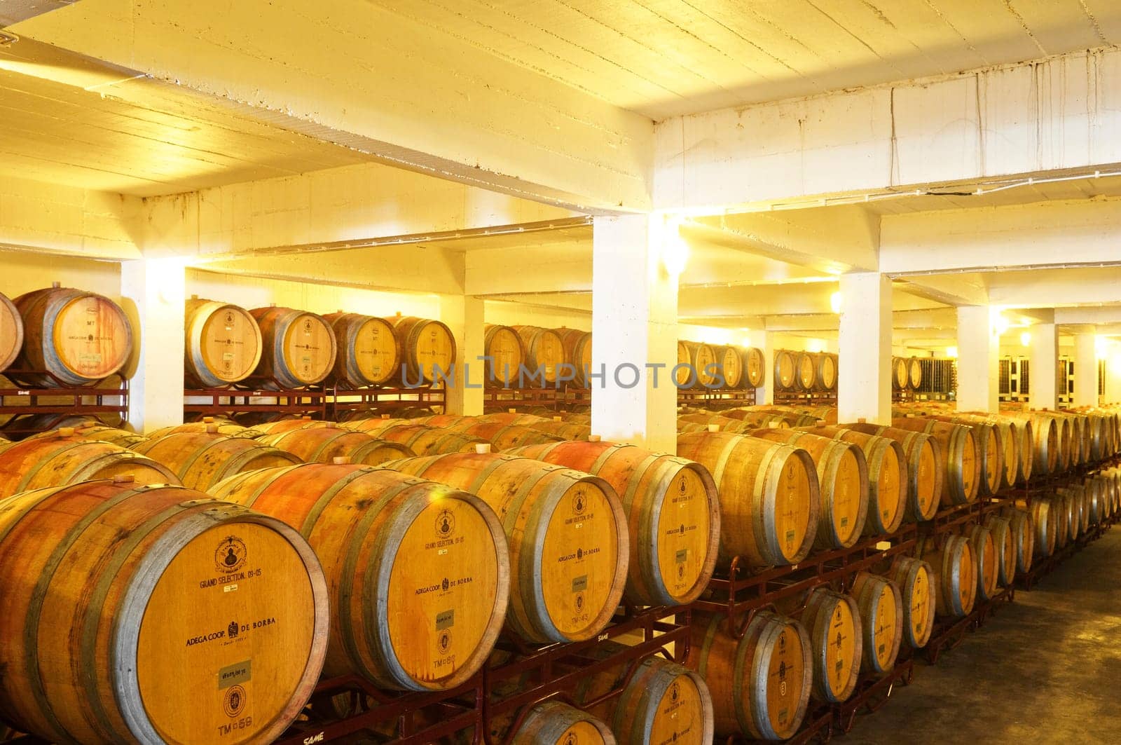 Wine cellar