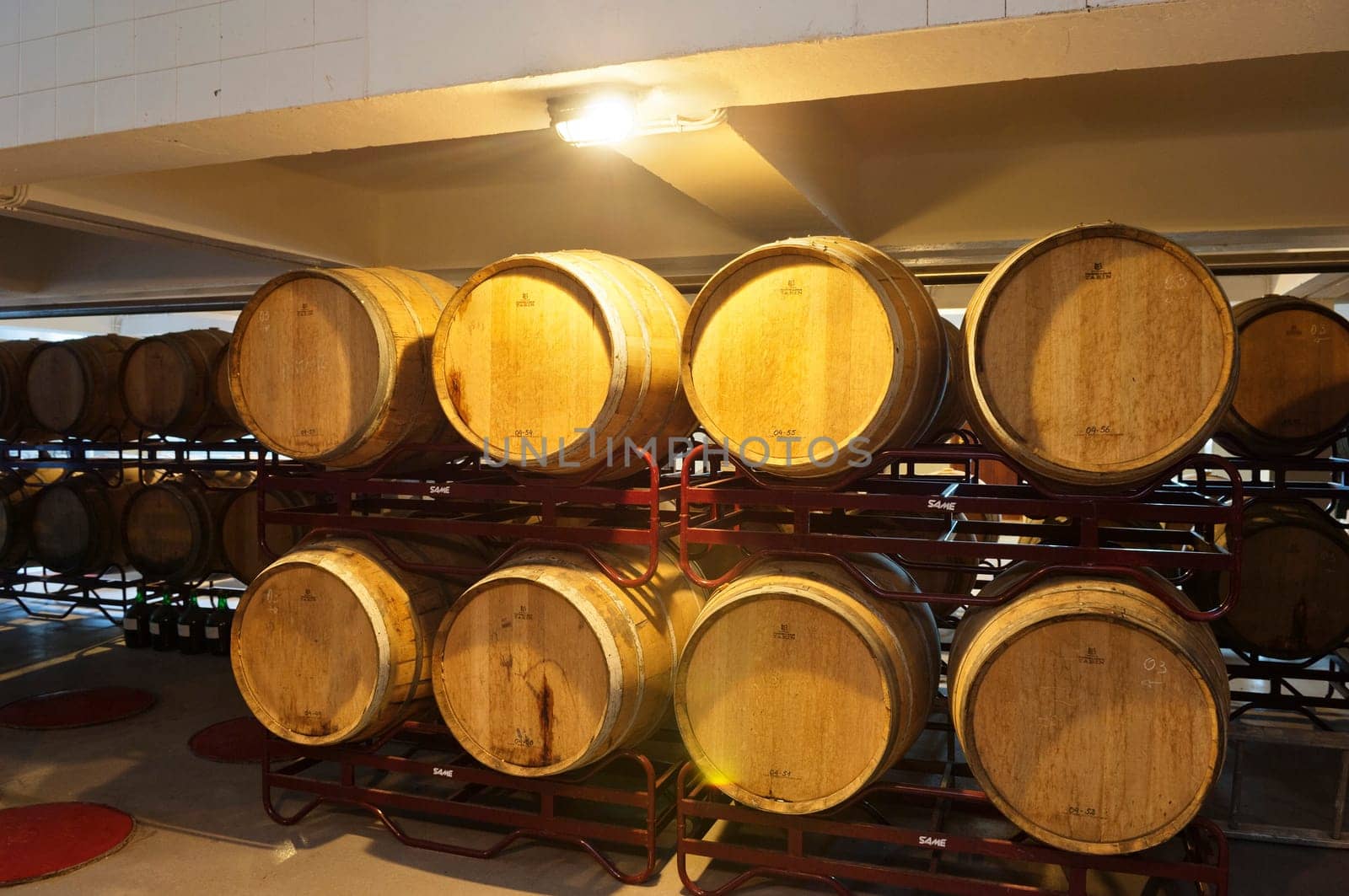 Wine cellar