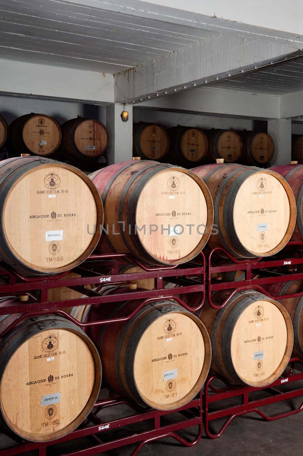 Wine cellar