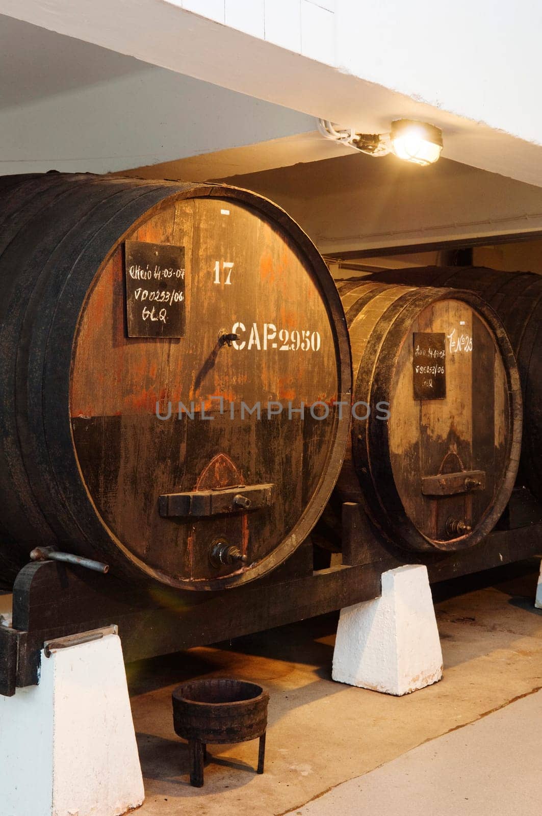 Wine cellar