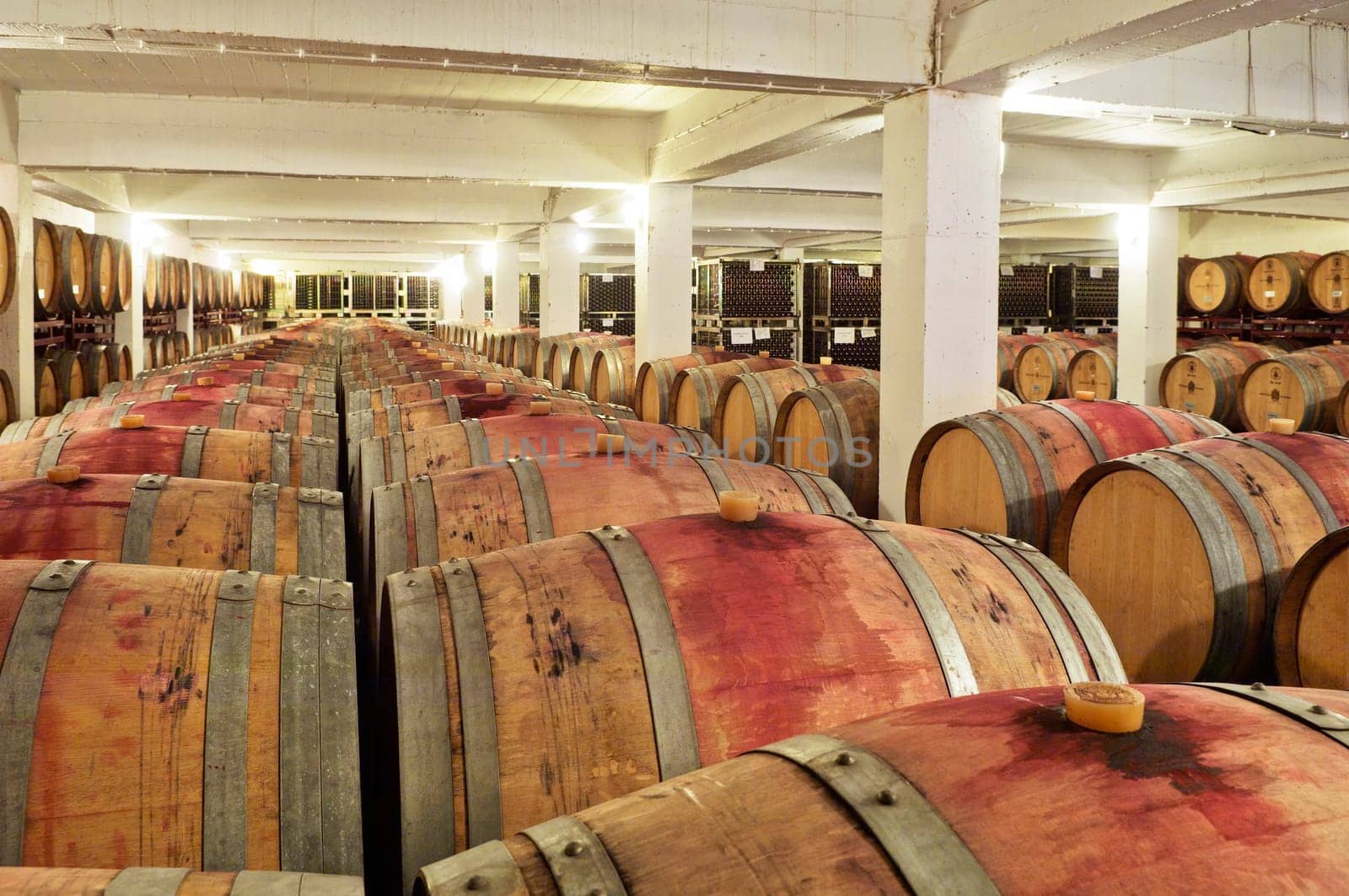 Wine cellar