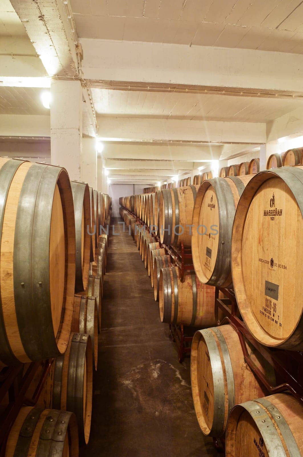 Wine cellar