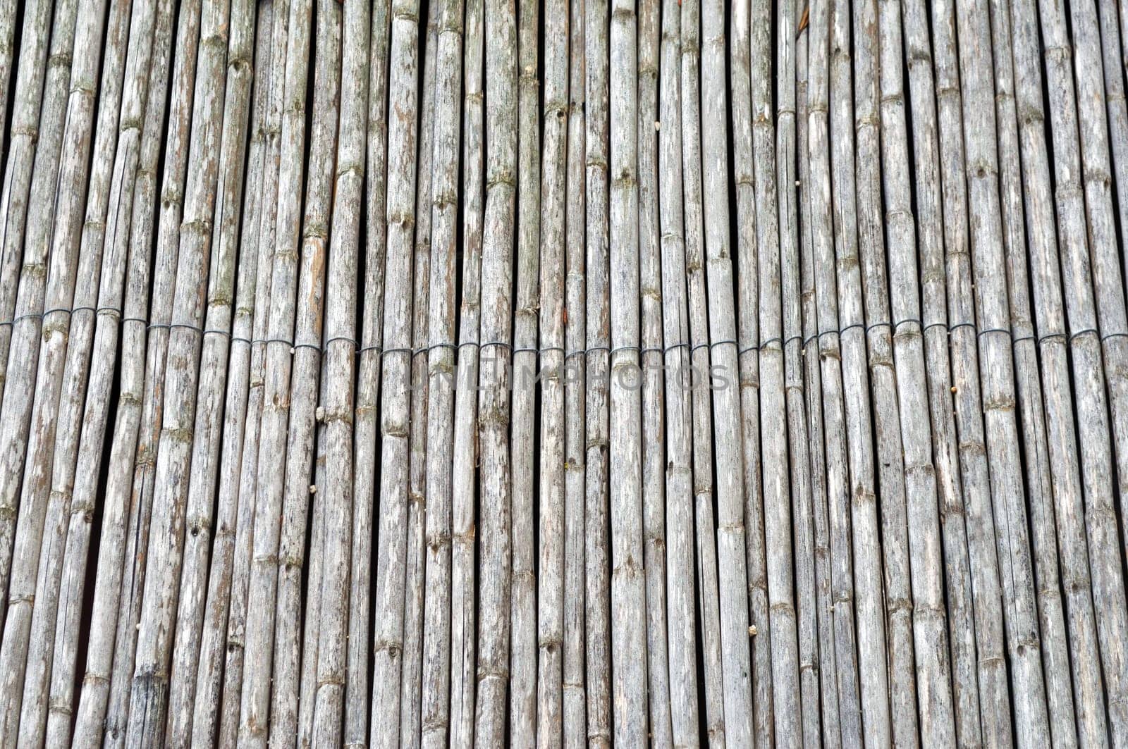 Bamboo fence