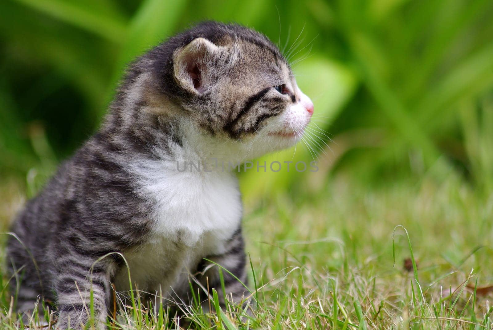 Curious