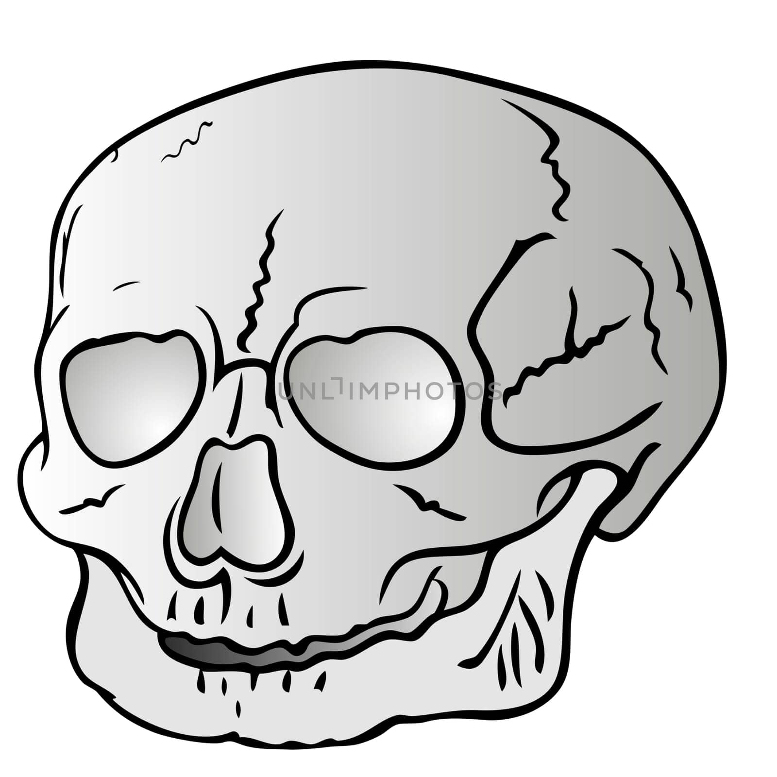bizarre human skull