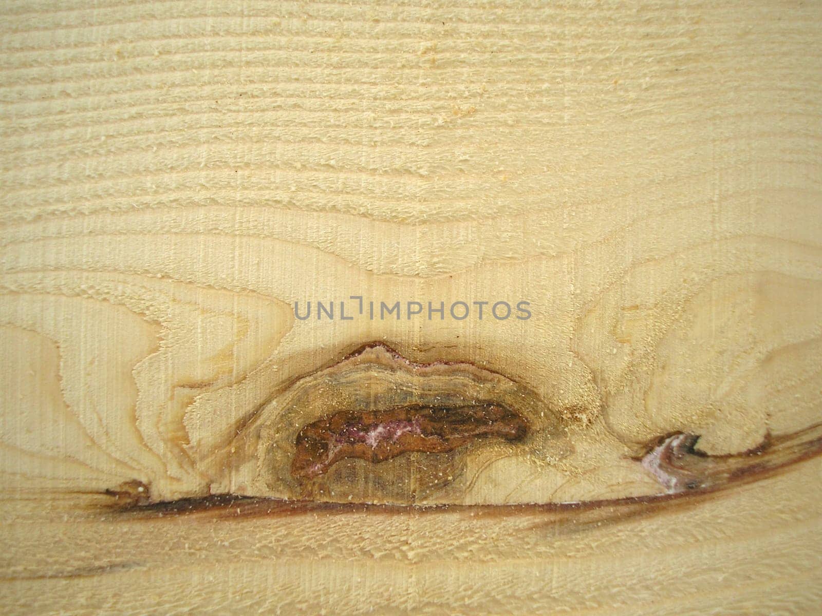 Wood