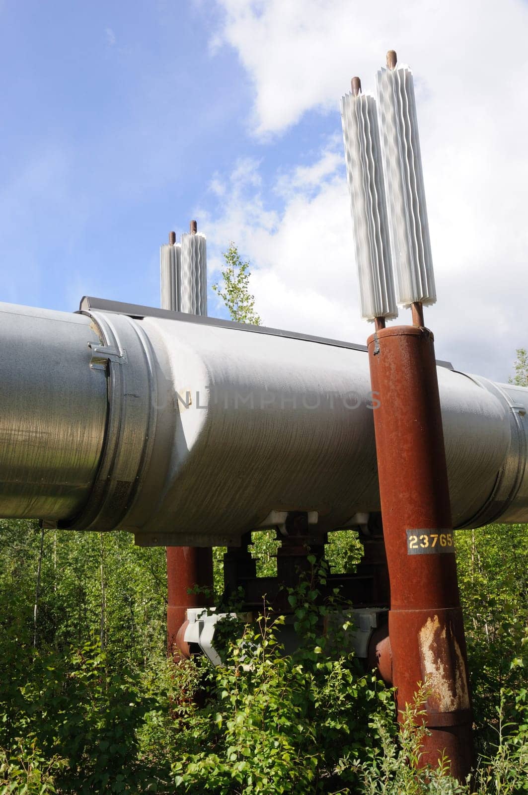 Trans Alaska Pipeline Permafrost Heat Exchangers