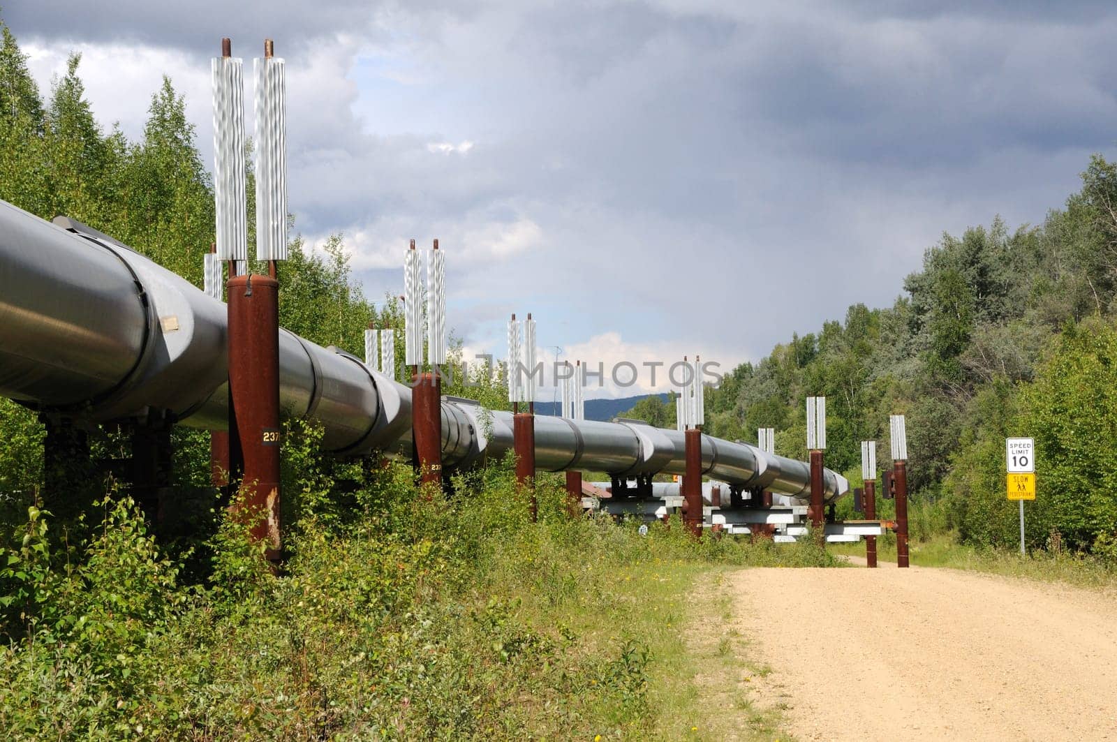 Trans Alaska Oil Pipeline with Permafrost Stabilizing Heat Exchangers