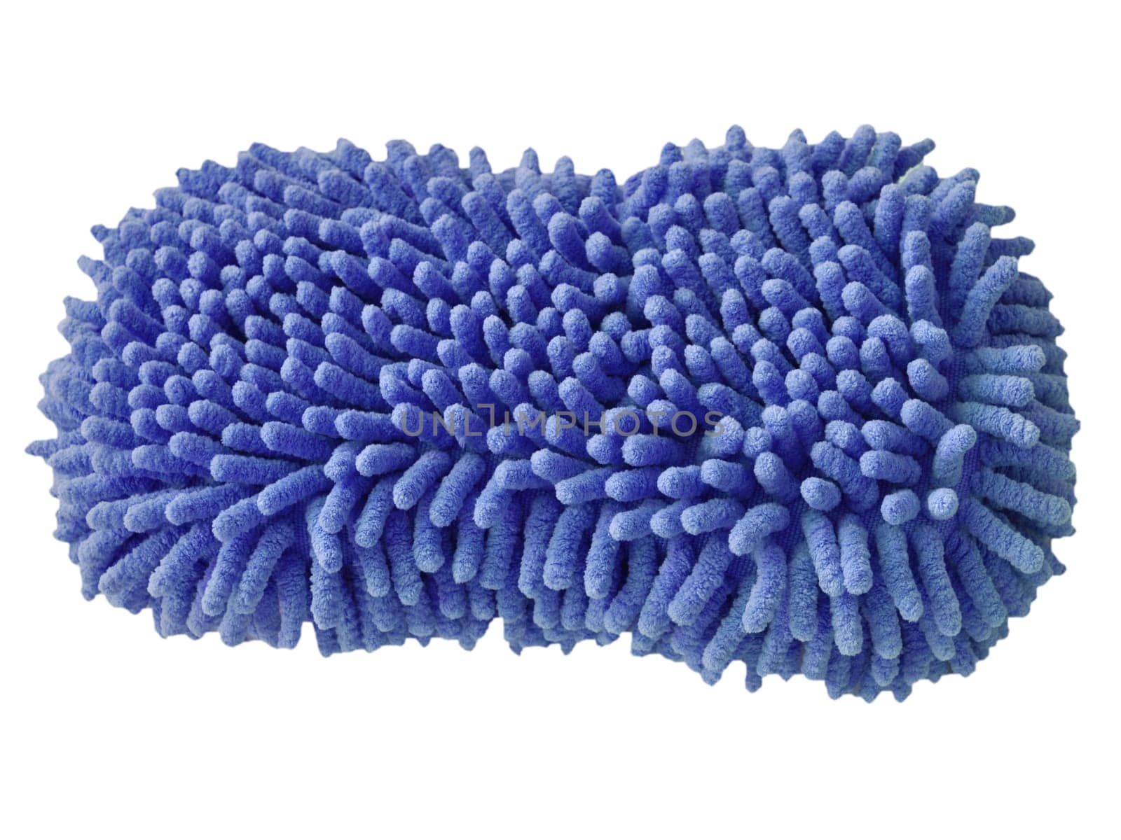 Sponge isolated