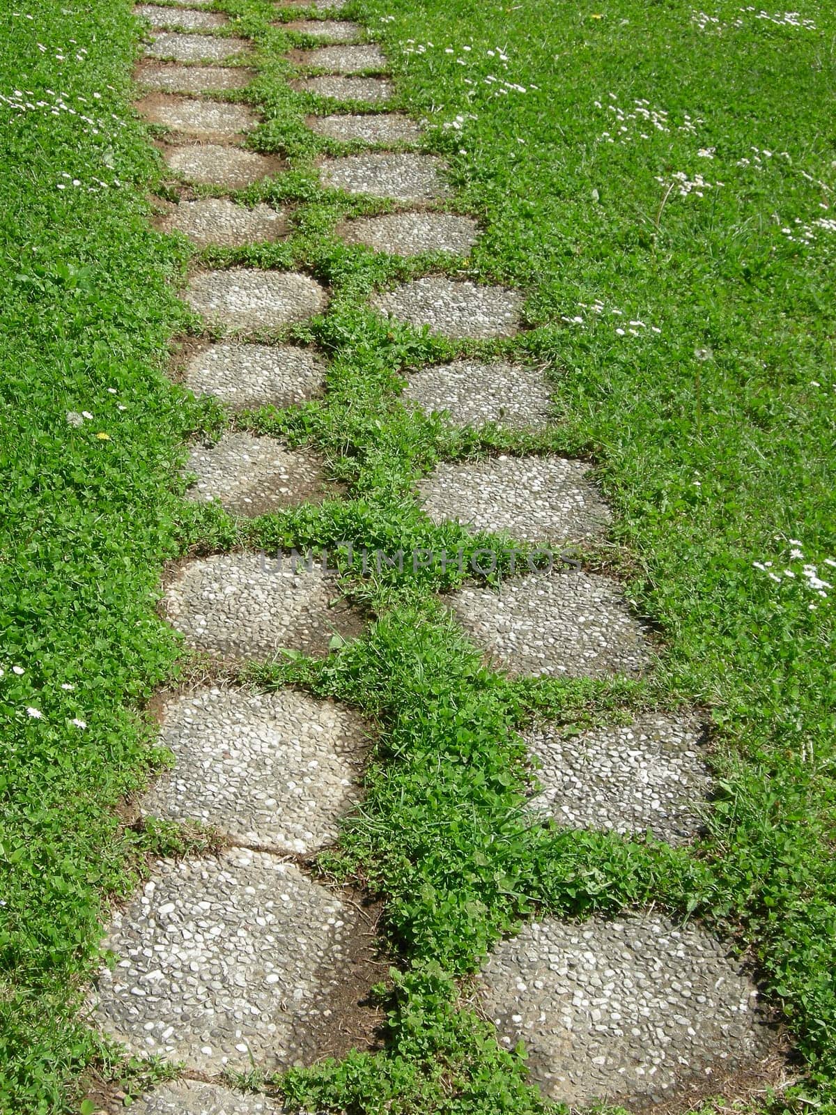 Path