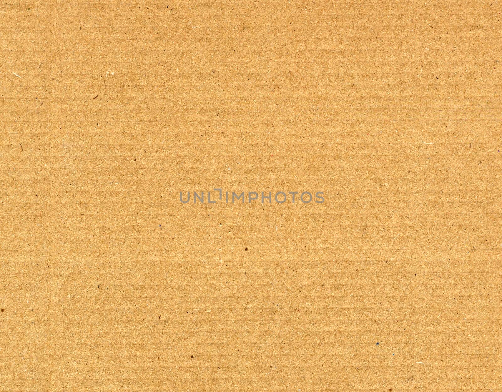 Corrugated cardboard