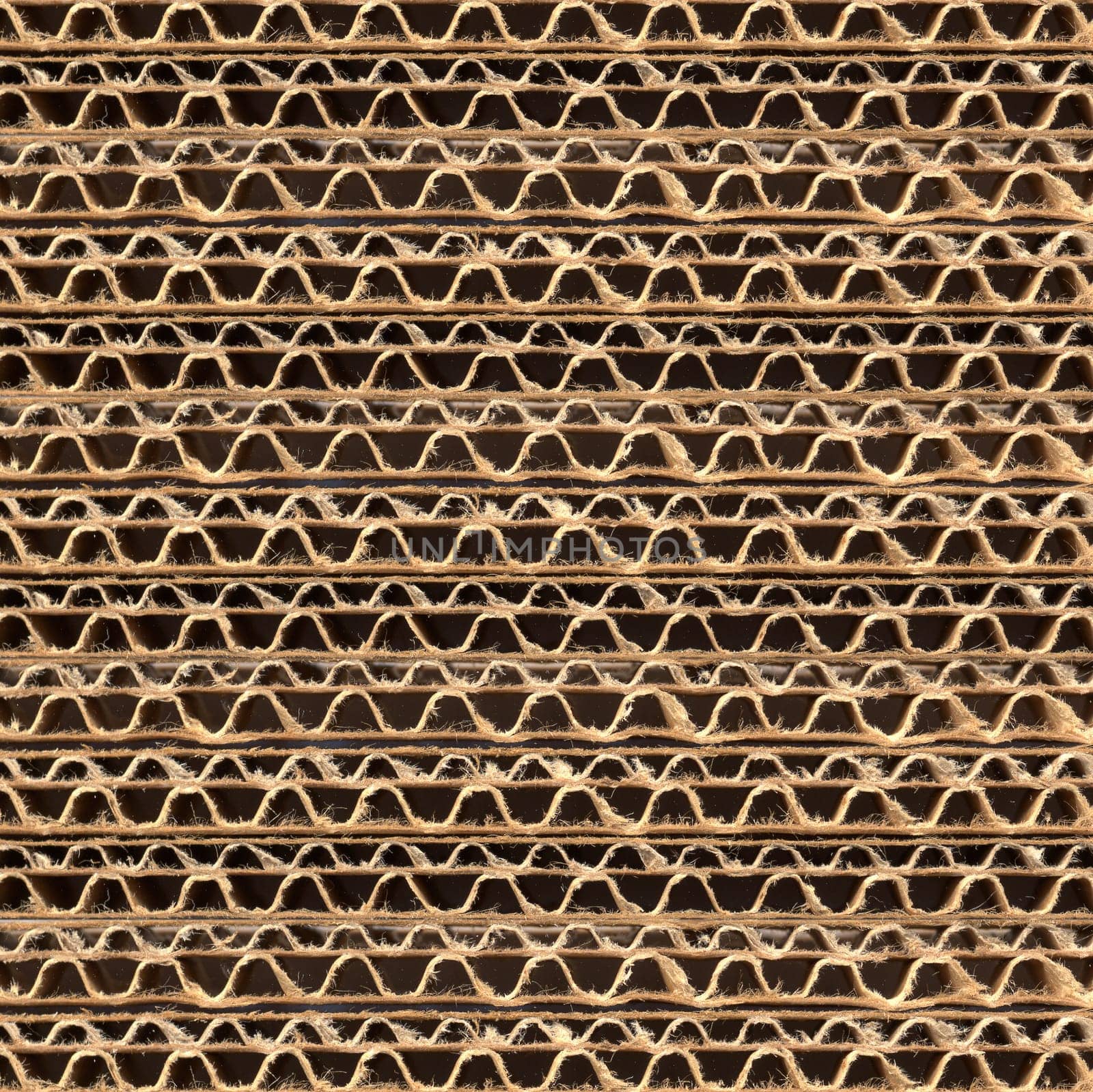 Corrugated cardboard
